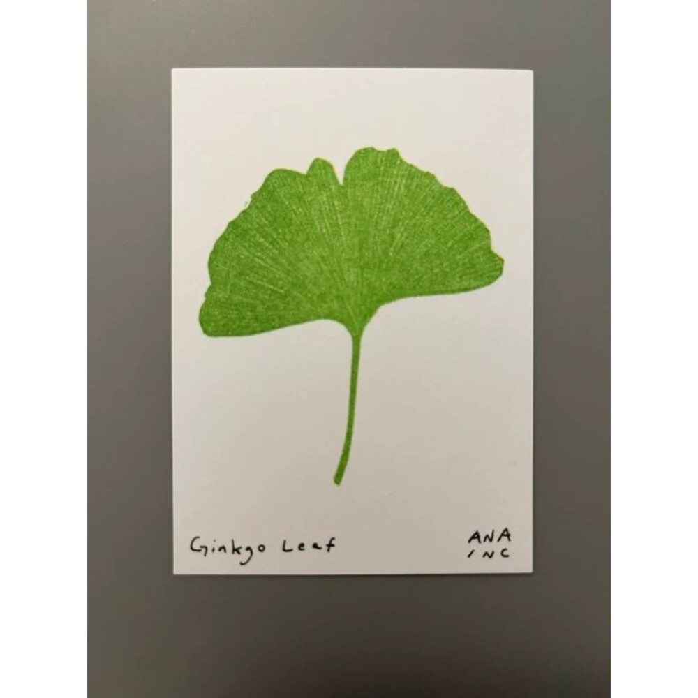 Ana Inciardi Mini Print - Ginkgo Leaf